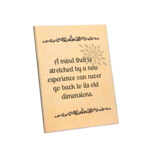 import placeholder for 56313